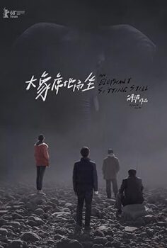 An Elephant Sitting Still